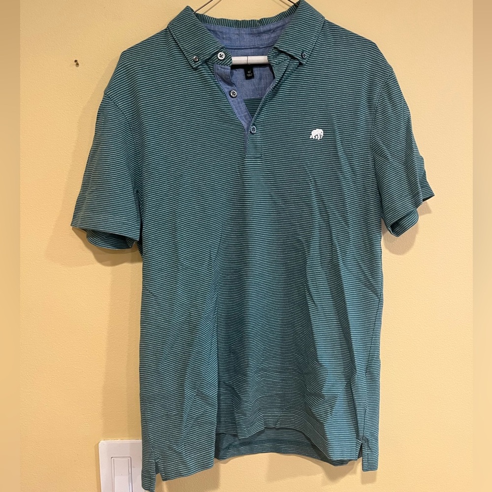 Green Striped “Banana Republic” Polo